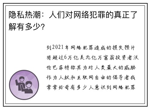 隐私热潮：人们对网络犯罪的真正了解有多少？ 